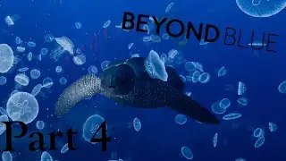 Beyond Blue Part 4- Swimming round the Seamount
