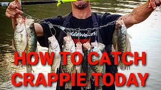 How to catch crappie Indiana Fishing (Cataract Lieber State Park)