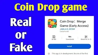 Coin Drop game real or fake 
