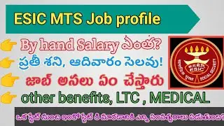 ESIC MTS job profile | salary, promotions, transfer rules etc