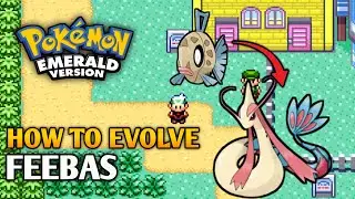 How to evolve Feebas into Milotic