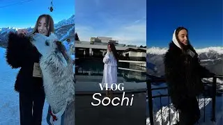 VLOG: Сочи, День Рождения в ресторане Lino, парк Альпак, отель Моне