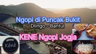 KENE Ngopi Cafe | Tempat ngopi di Jogja view bagus | Tempat Nongkrong di Bantul #waskitobm