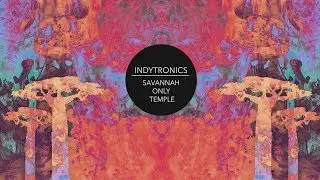 INDT - Savannah Only Temple (Official Music Video)