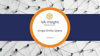 Creating a Single Entity Query within the VA Insight Portal™