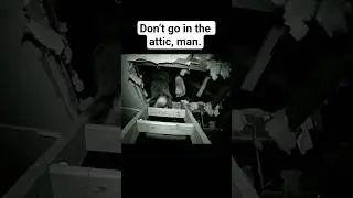 Don&rsquo;t go in the attic, man. | Bigfoot Vlogs #bigfootvlog
