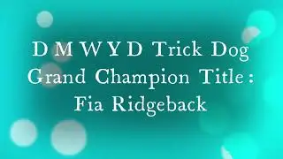 DMWYD Trick Dog Grand Champion Fia Ridgeback
