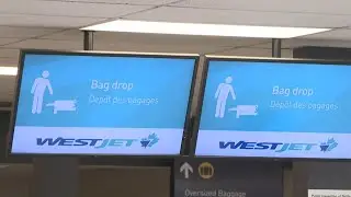 75% opt-out of summer travel plans, citing inflation as key factor: HelloSafe