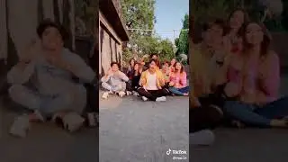 Riyaz. 14 most popular tiktok video 2019