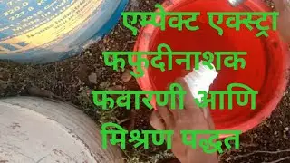 Ampect xtra  Azoxystrobin 18 2% Cyproconazole  7.3% एम्पेक्ट एक्स्ट्रा फवारणी मिश्रण पद्धत