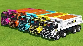 HARVEST, LOAD & TRANSPORT SORGHUM WITH VOLVO HARDOX TRUCKS! Farming Simulator 22