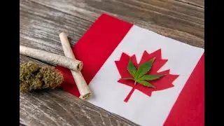 Canadian Cannabis Laws In 2025