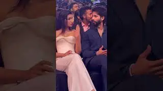 Shahid Kapoor and Kroti Sanon At IIFA 2025