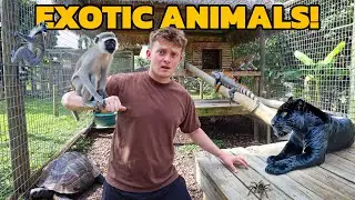 TOURING A MULTI MILLION DOLLAR BACKYARD ZOO! *INSANE*