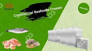 Frozen Shrimp Processing Plant/Seafood Frozen machine