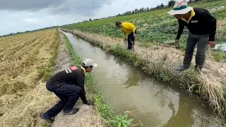 Cách Bắt Chuột Không Dùng Sức Nhưng Không Đúng Chỗ Ở Của Chuột | hunting | - TT2223