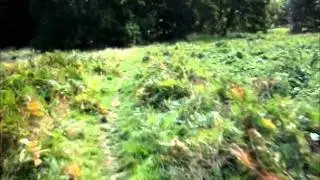 Malvern Mountain Bike Trails