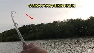 This is the fish attraction that anglers are looking for