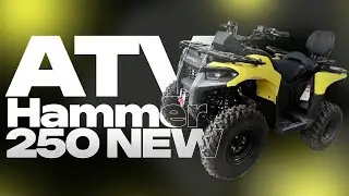250-ТКА С МОРДОЙ ОТ BRP? ОБЗОР НА КВАДРОЦИКЛ ATV HAMMER 250 NEW!