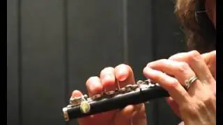 Used Powell Signature Piccolo for Sale - Demo of High Register