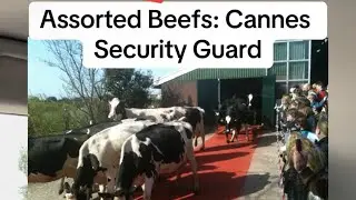 Assorted Beefs: the Cannes security guard fighting with everyone