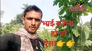 करेला का दमदार उत्पादन । VNR NT77.#farming #theadvanceagriculture #agriculture #nature #youtube