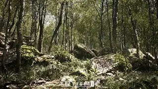Unreal Engine Procedural Oak Forest - Spring