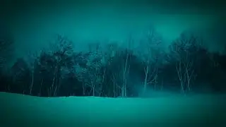 Wind, Mist & Dancing Trees | Nature&rsquo;s Silent Symphony