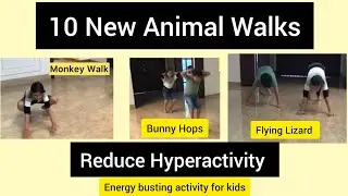 10 new animal walks/reduce Hyperactivity/energy busting activity/occupational therapy