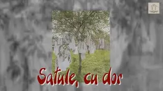 Satule, cu dor - Maria Todici, meșter popular din Pipirig (Neamț)