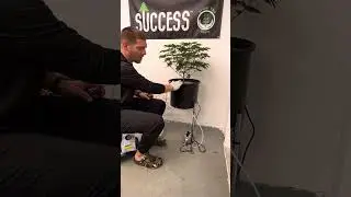 How to Clone Cannabis / Hemp