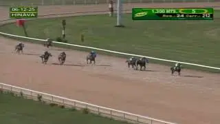 V212 | T&iacute;a Felipa | Hip&oacute;dromo Nacional de Valencia | Reuni&oacute;n 24 | 2025