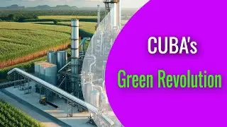 Cuba's Sugarcane Energy Revolution: A Sustainable Future