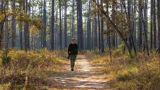 Photographing Blackwater River State Park