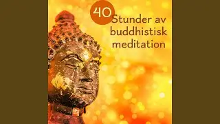 Djup meditation