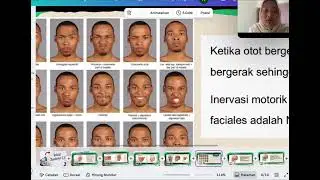 Situs Facialis, Musculi dan Neurovaskularisasi 