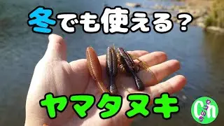 【冬ワーム検証】春秋最強のヤマタヌキは低水温でも効くのか!?【Black bass】【川スモール】【初冬】【冬】【12月】
