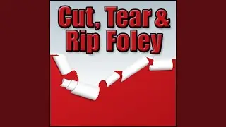 Box, Cardboard - Small Pop Case: Tear Open, Wood, Paper & Cardboard Foley, Cut, Tear & Rip Foley