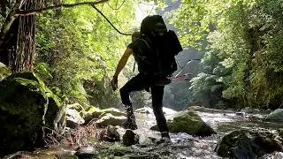 Urutawa summer hunting