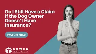 Do I Still Have a Claim If the Dog Owner Doesn&rsquo;t Have Insurance | Bowen Law Firm Answers!