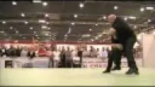 Gary Payne demo at SENI 2008