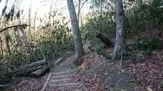 Hiking Hickey Fork Falls in below freezing temperature