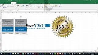 ExcelCEO Excel Tip: Align Icon