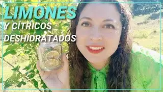 Cómo deshidratar limones y otros cítricos en casa. En horno, deshidratador solar y eléctrico.