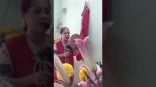Cung to nha bong rot