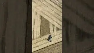 #rap Das ganze mal aus der Vogelperspektive 👀 #fendt #raps #dreschen #farming #
