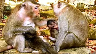 Oops my god! Pity adorable baby was kidnaped by young kidnapper monkey run really fast..