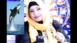 برج الحوت علي حجر الجعران النرجسي بيعتذر وعرف قمتك مع بوسي ملك
