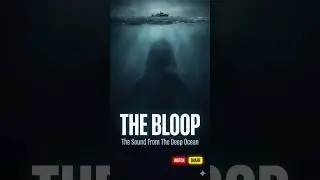 The Bloop: The Ocean Sound So Loud It Terrified Scientists
