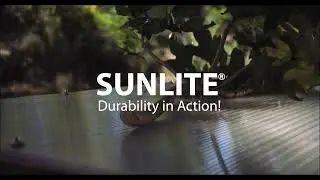 Strength Test | Sunlite VS Tree Branch